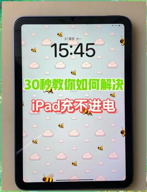 苹果平板不在充电怎么解决