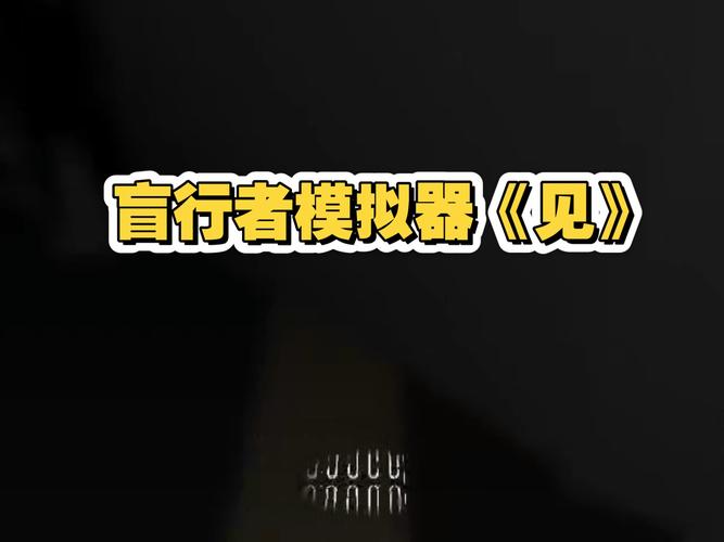 盲人游戏《见》