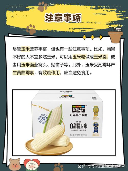 玉米小说2022免费版