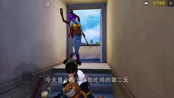 和平精英❌18禁女角色换源版截图