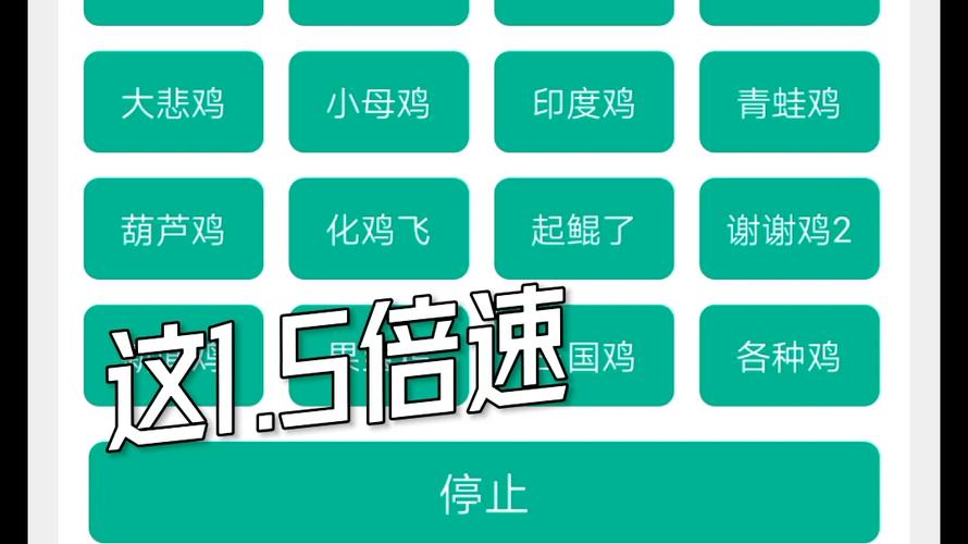 鸡音盒链接入口截图