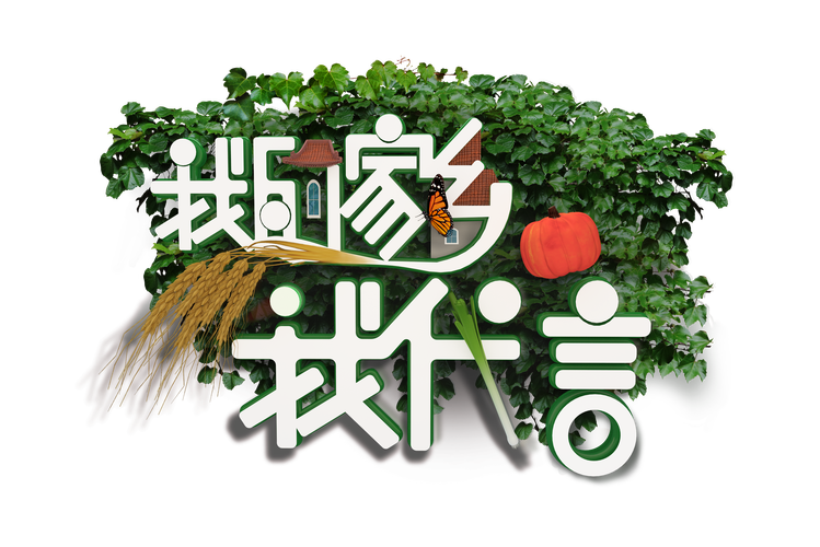 我的乡村日常生活赚钱版