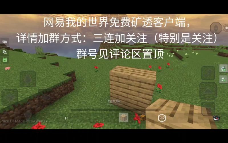 我的世界矿透挂免费版