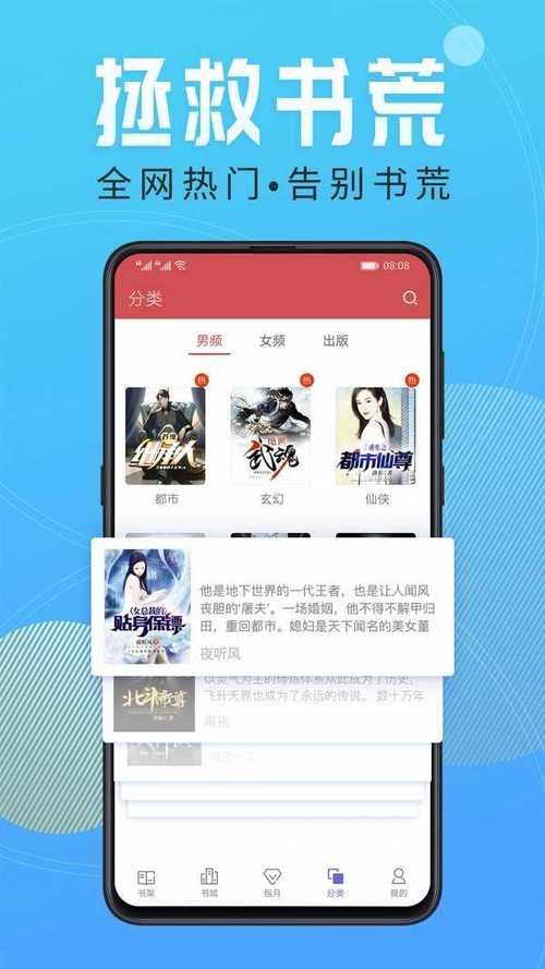 轻叶小说截图