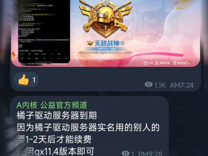 和平免费公益内核辅助中文最新版