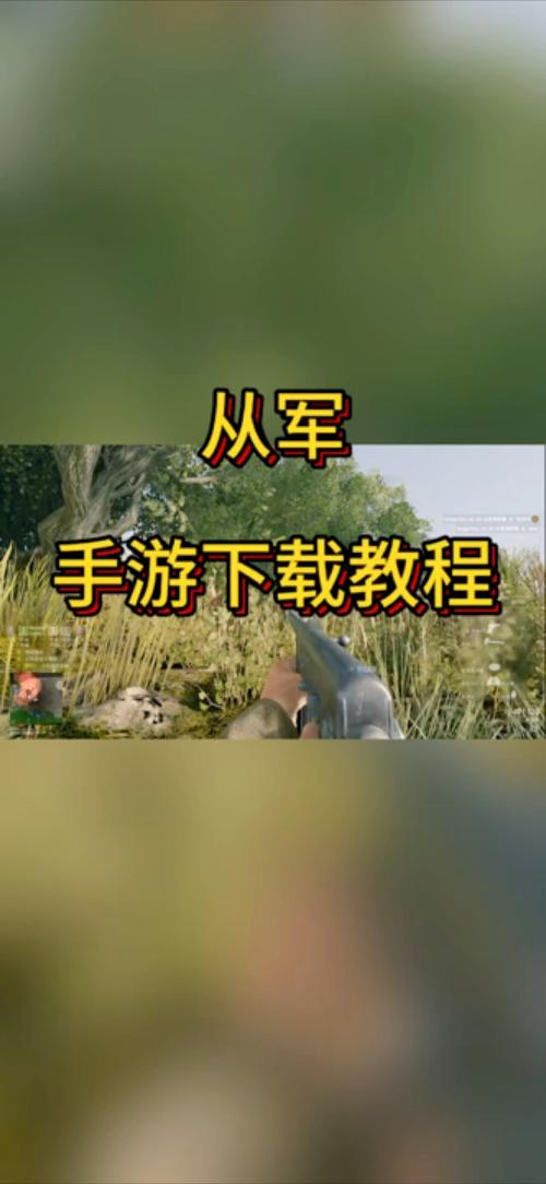 从军手机版汉化版