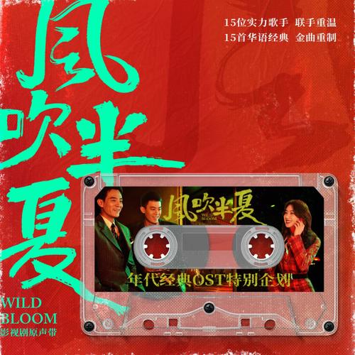 风吹半夏电视剧剧情介绍电视猫红色版