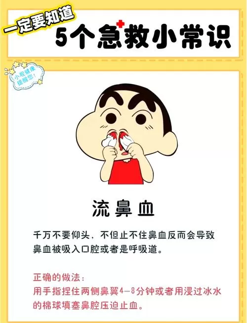 流鼻血了怎么办
