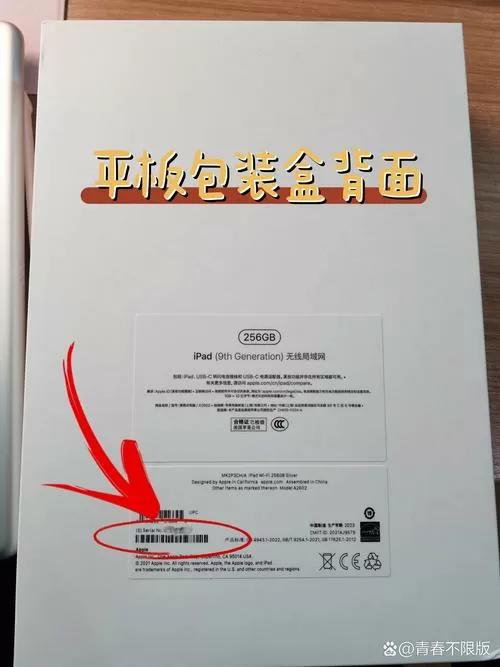 苹果平板序列号在哪里