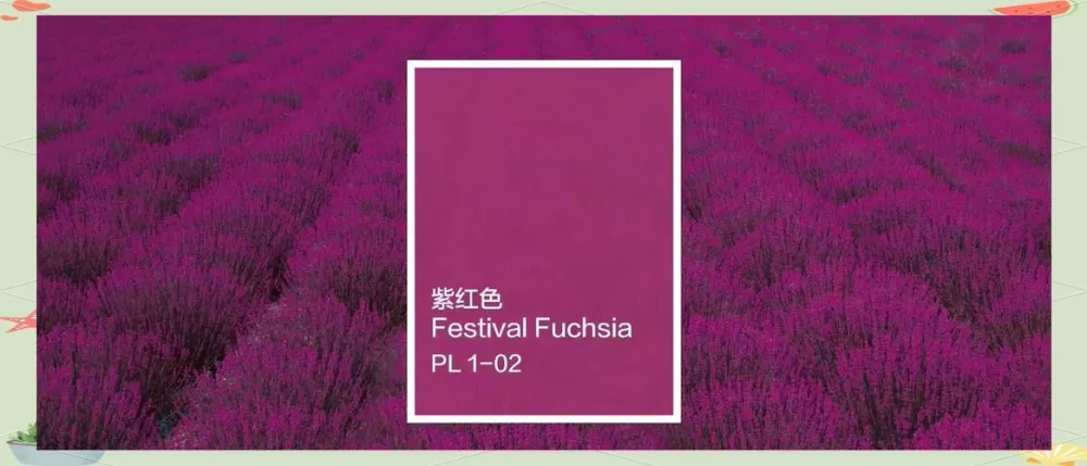 什么颜色+红色等于紫色