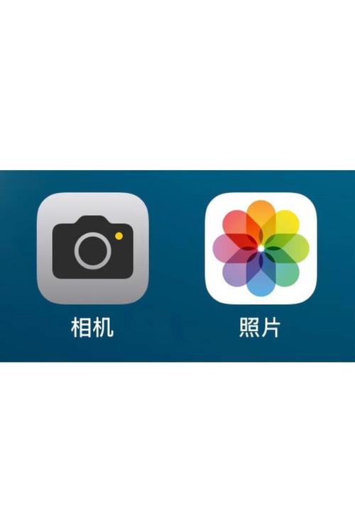 手机照片备份