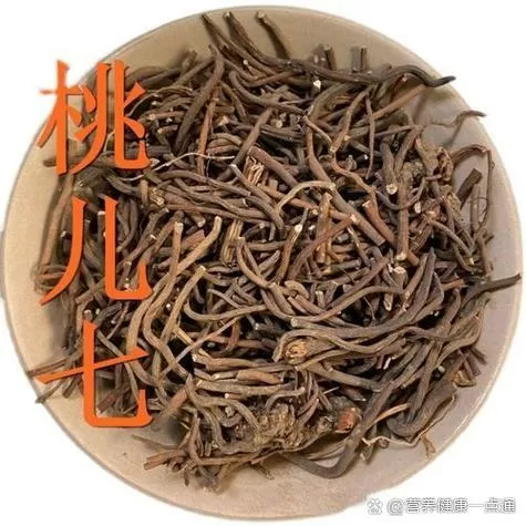 桃儿七的人工种植