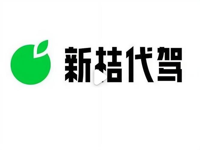 新桔代驾平台有垫付吗游戏截图