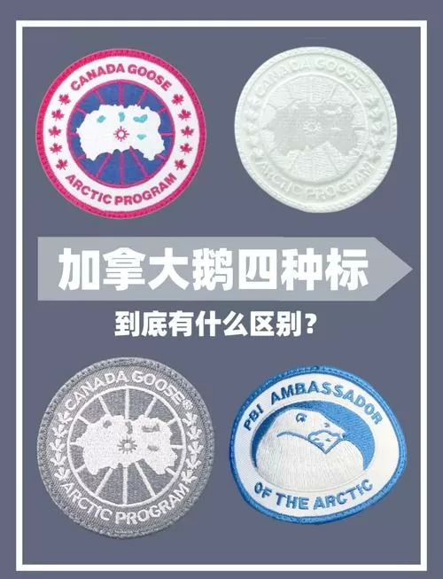 网络上鹅暗示什么