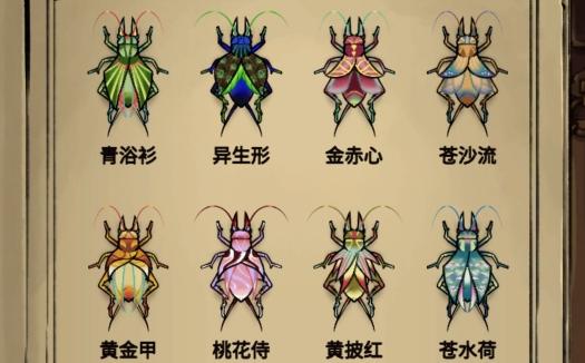 blacksouls2冷狐直装加速永久游戏截图