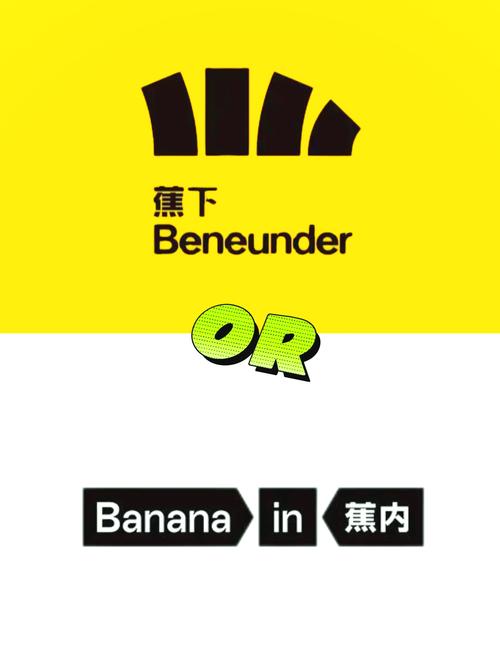 国外香蕉加速器永久免费解锁全部书源