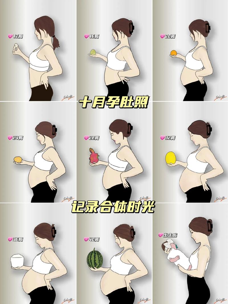 怀孕过程肚子的变化的视频 很大