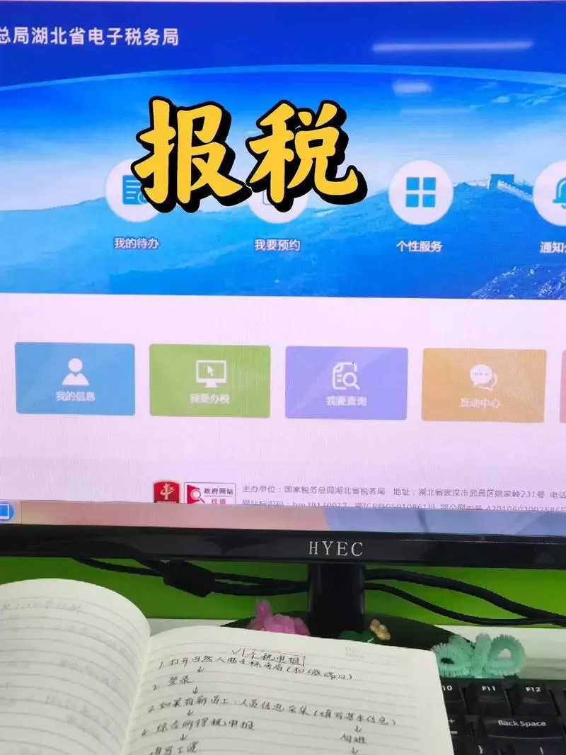 税务局报税怎么报