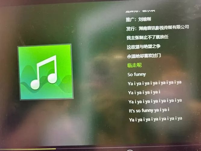 车载显示屏不显示歌词图标