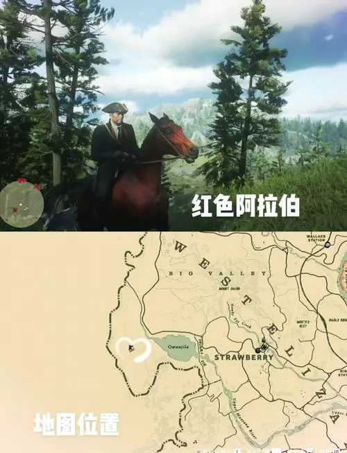 荒野大镖客2最快的马在哪获得