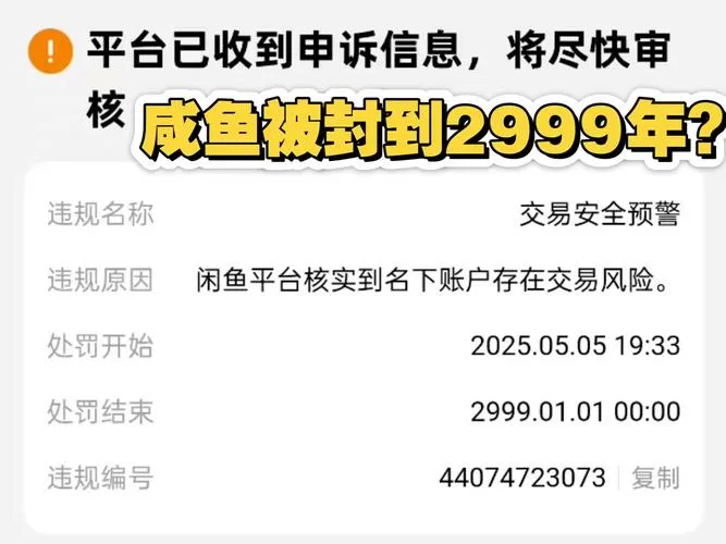 闲鱼限制权限是什么意思