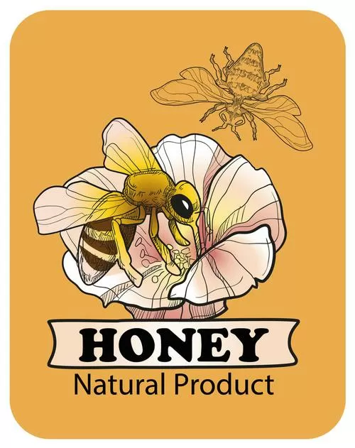 男生叫honey的隐晦含义是什么