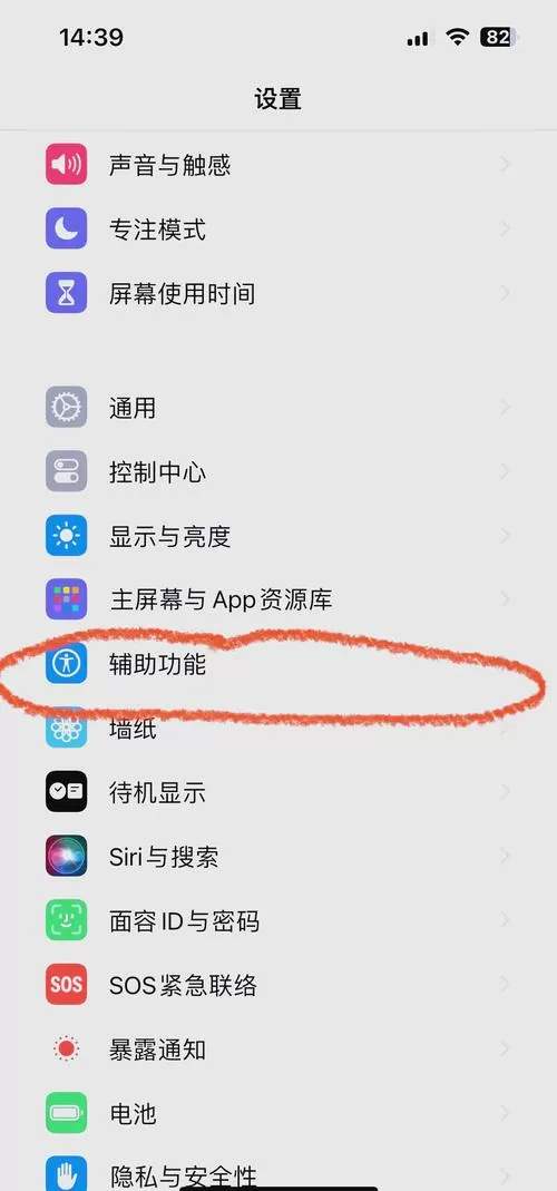 苹果手机朗读功能怎么开启