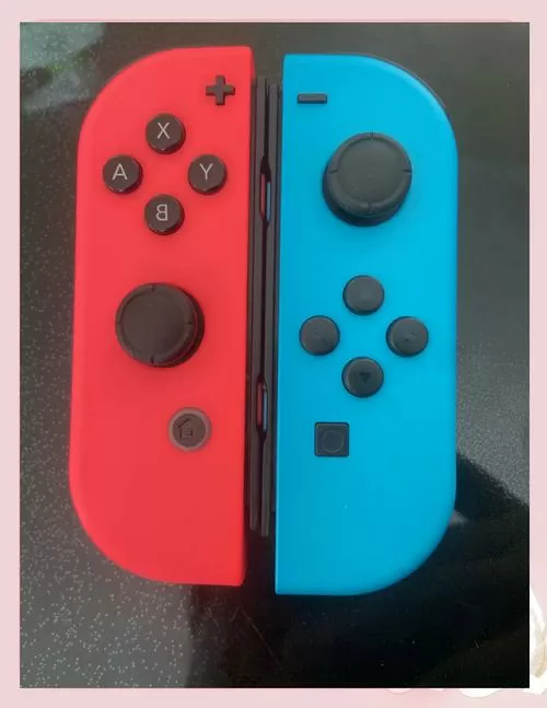 switch自带的手柄叫什么