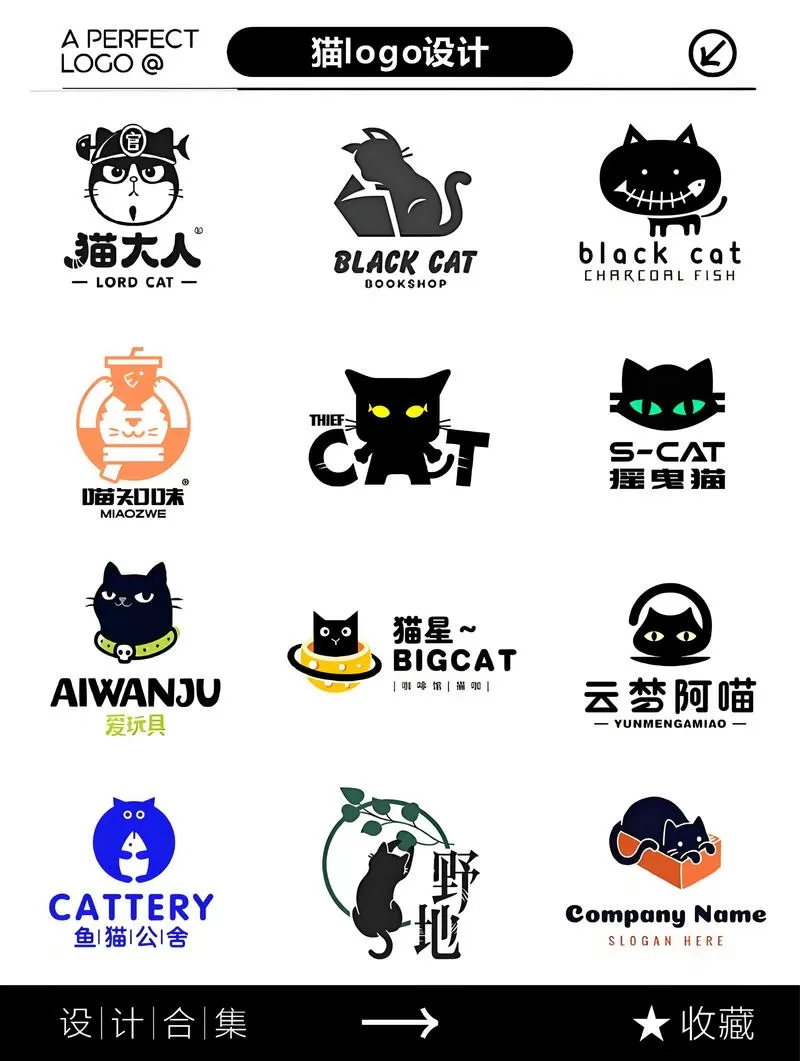 2026奇妙猫咪世界缩略图