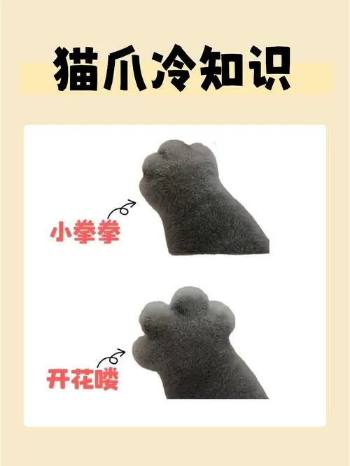 猫爪emoji怎么打出来