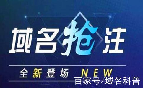 域名抢注游戏截图