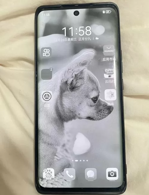 手机屏幕闪黑一下又恢复正常