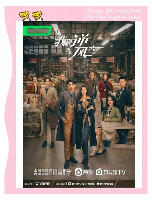我要逆风去电视剧