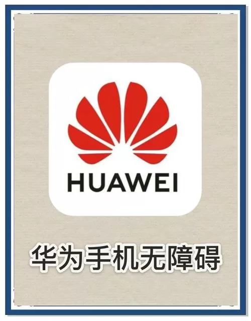 手机有盲人模式吗
