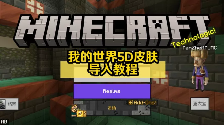 5D皮肤包导入