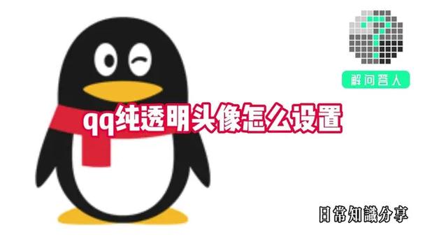 qq透明头像一键设置软件