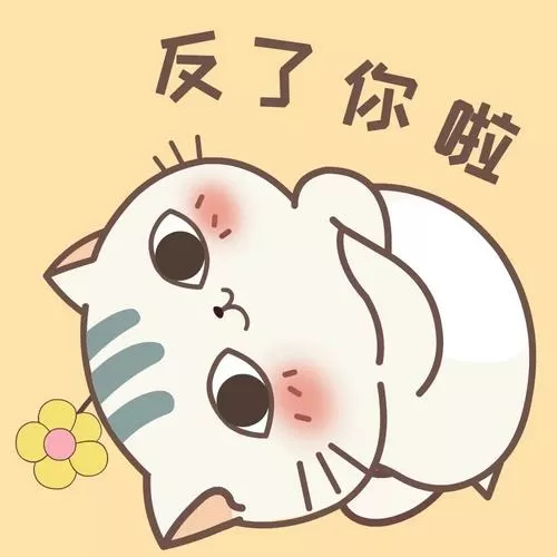 抖音叫土豆的猫图标