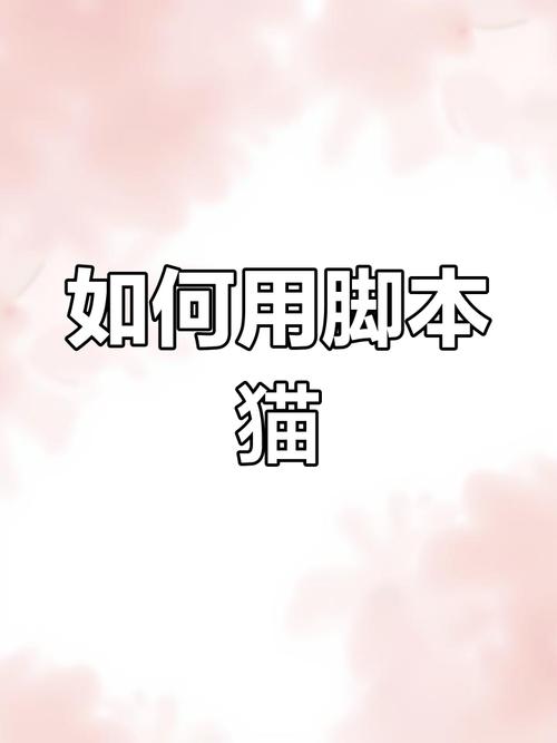 脚本猫手机怎么安装