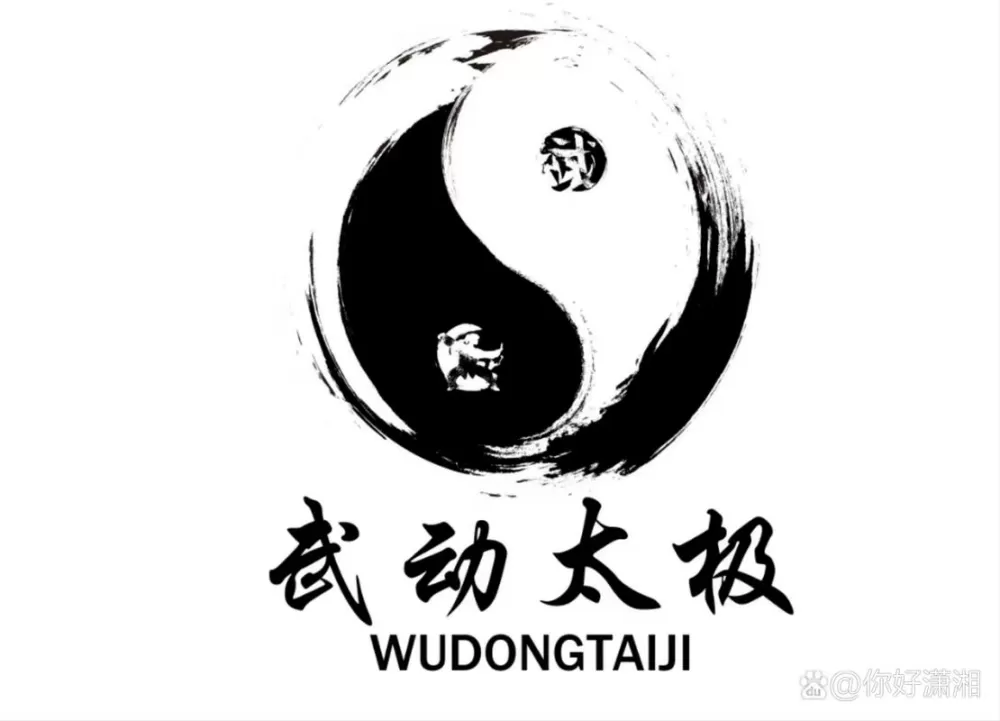 边氏太极官网截图
