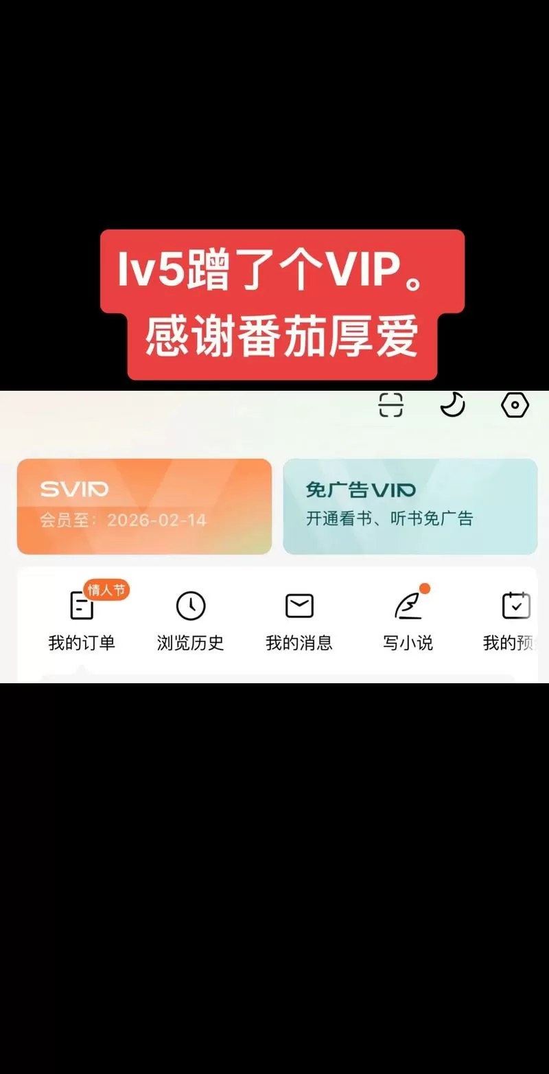 番茄vip破解2099版