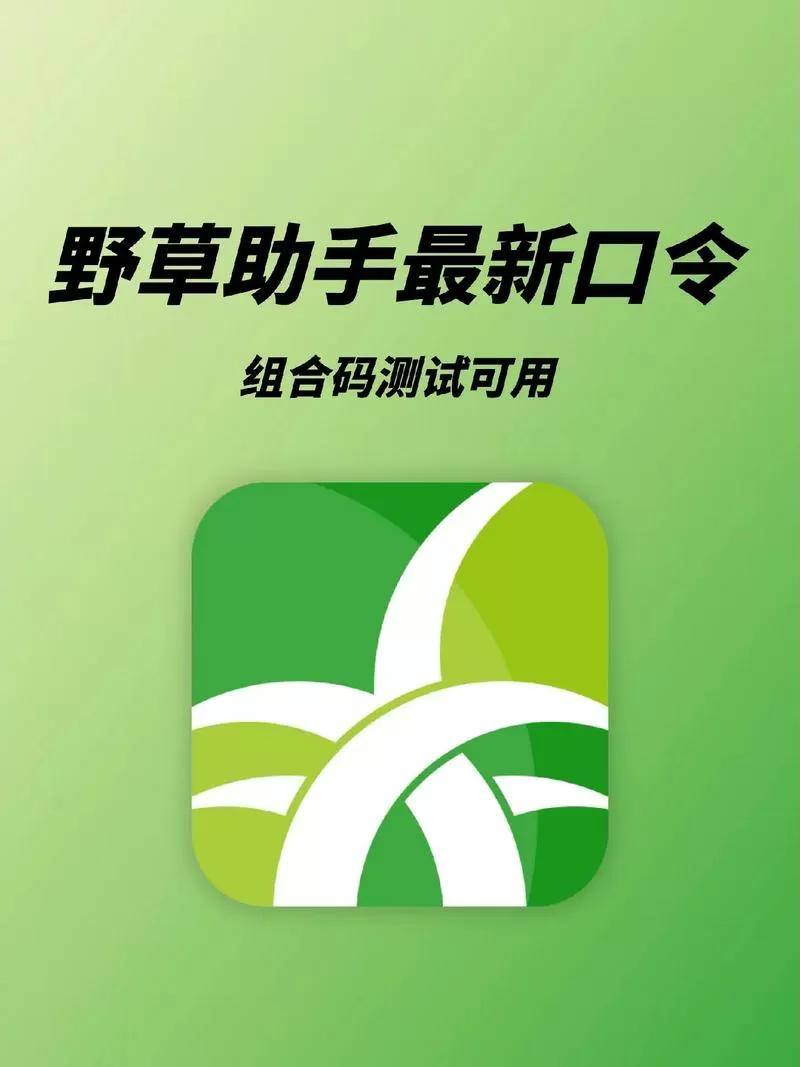 野草助手官方版下载