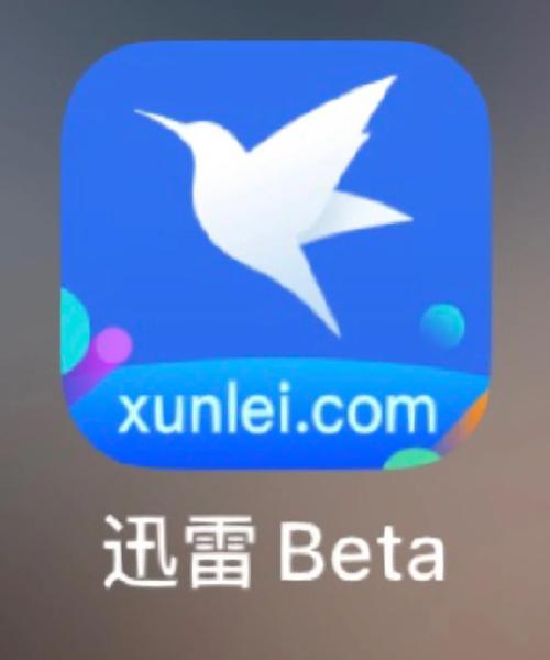 迅雷浏览器安装