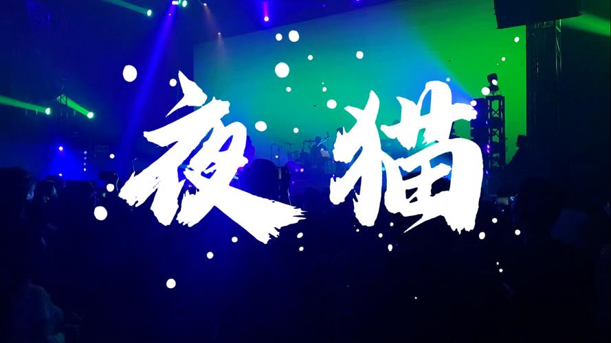 夜猫影视官方版
