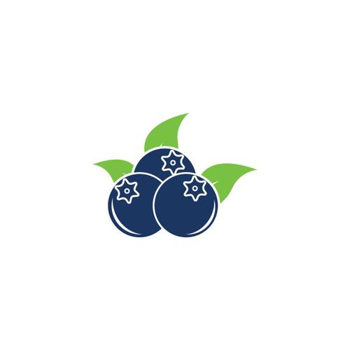 蓝莓视频素材大全