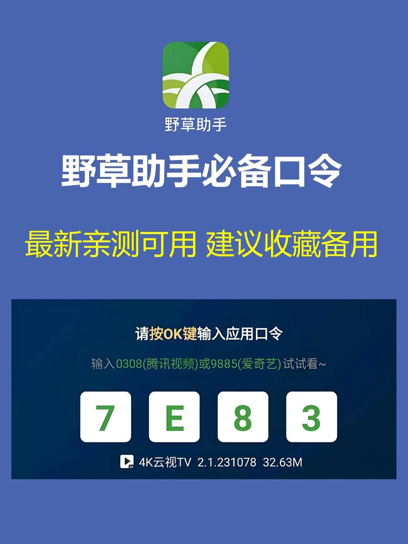 野草助手彩虹台口令纯净版