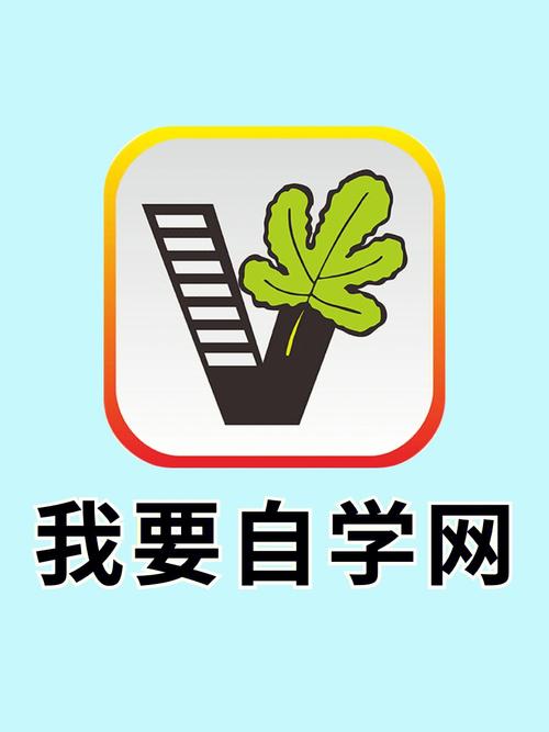 自学网官方app