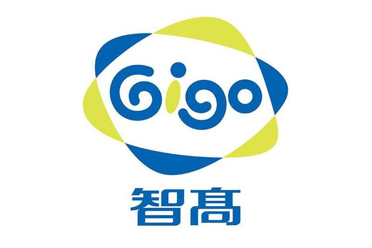 智高星app安装截图