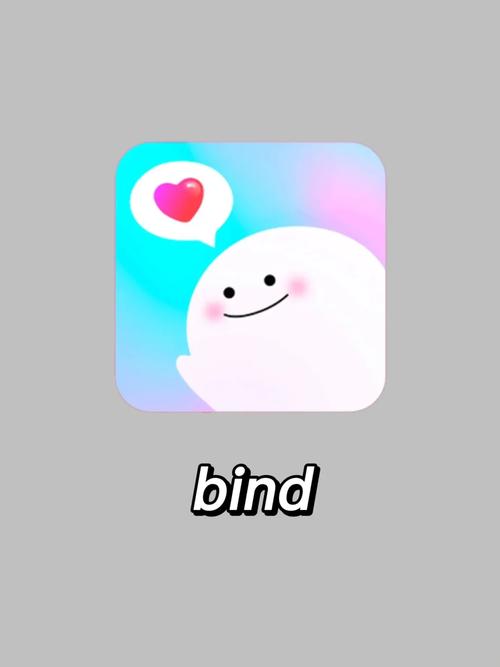 Bind手机版安装