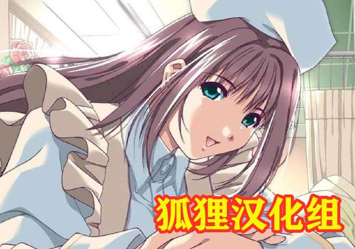 狐狸汉化组的20部直装游戏福利版图标