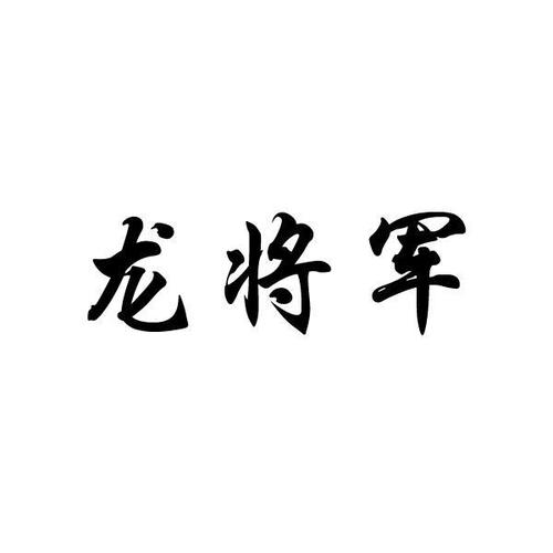 龙将军直装版本图标